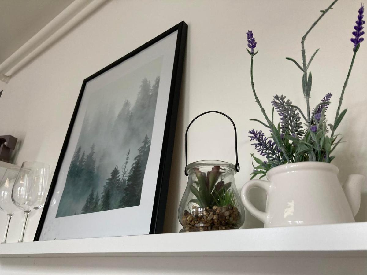Apartament Miodowa 9 ズビエジニエツ エクステリア 写真