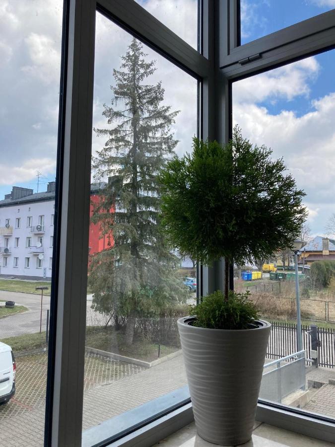 Apartament Miodowa 9 ズビエジニエツ エクステリア 写真