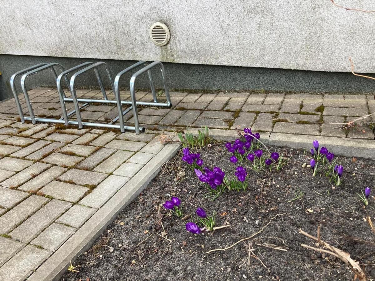 Apartament Miodowa 9 ズビエジニエツ エクステリア 写真